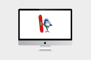 ドルフィンバレイ